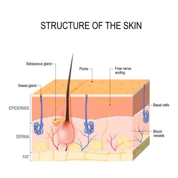 Visualization for Skin - Power Life System